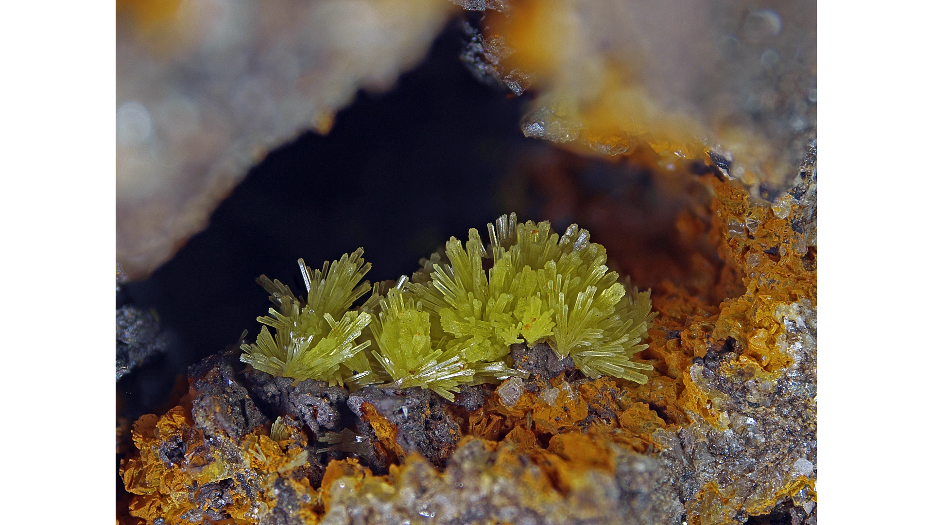 Mimetesit, Bildbreite: 7mm